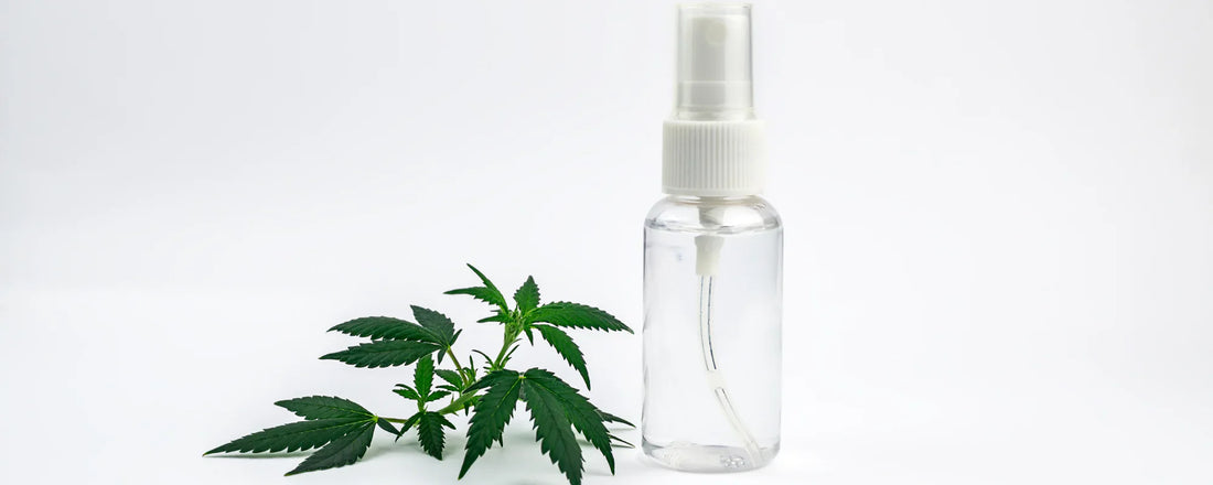 clear CBD spray bottle with hemp leaves and a white background