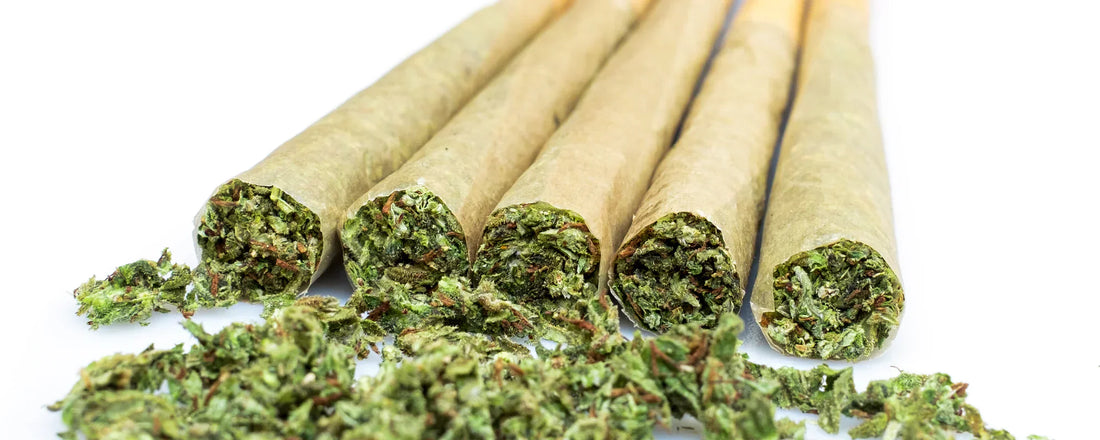 A variety of CBD flower filled papers