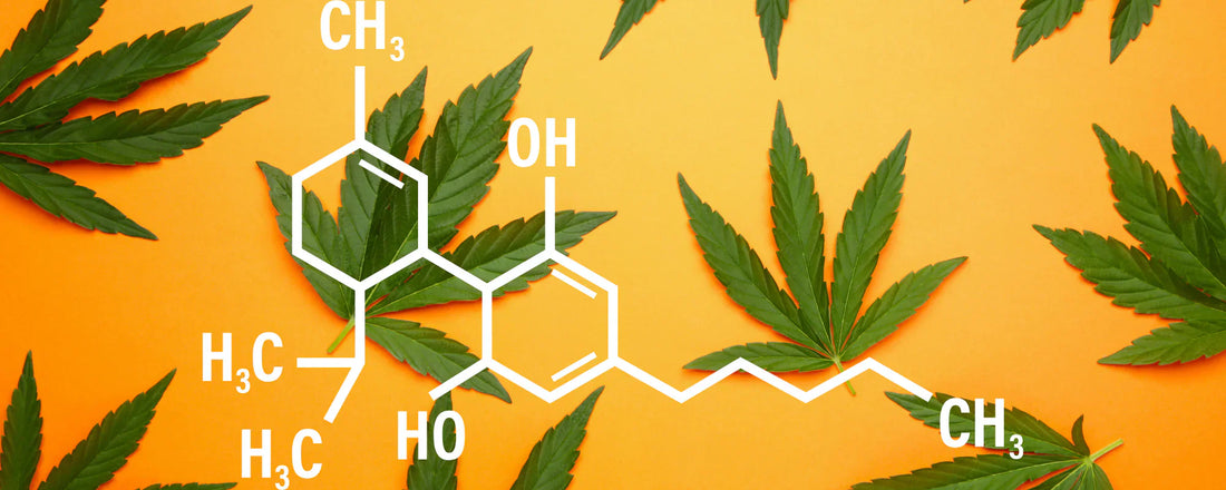 CBD Compound structure with cannabis leaves in background