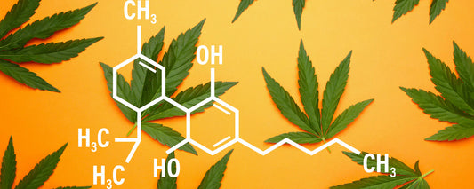 CBD Compound structure with cannabis leaves in background