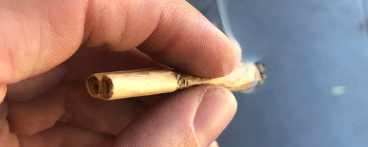 Double roach (tip) in a hemp flower joint