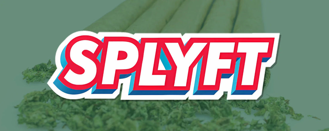 SPLYFT logo with CBD cones in background