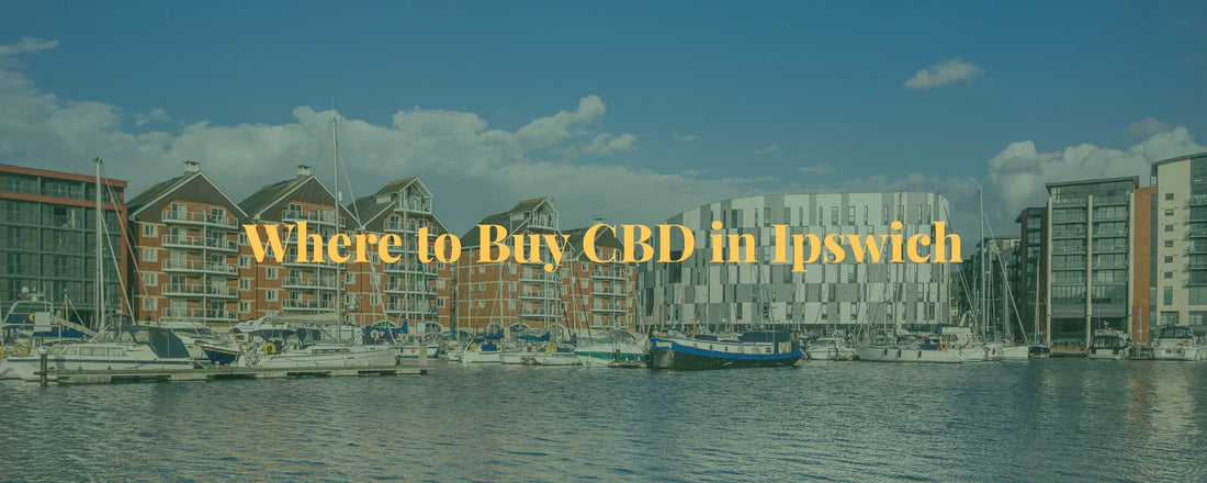 Where to Buy CBD in Ipswich