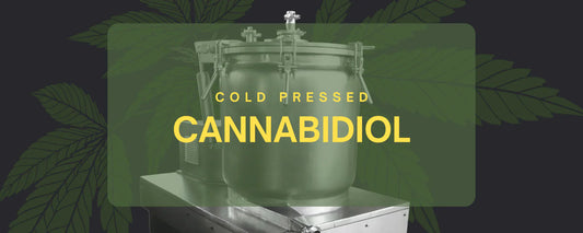 Cold pressed cannabidiol
