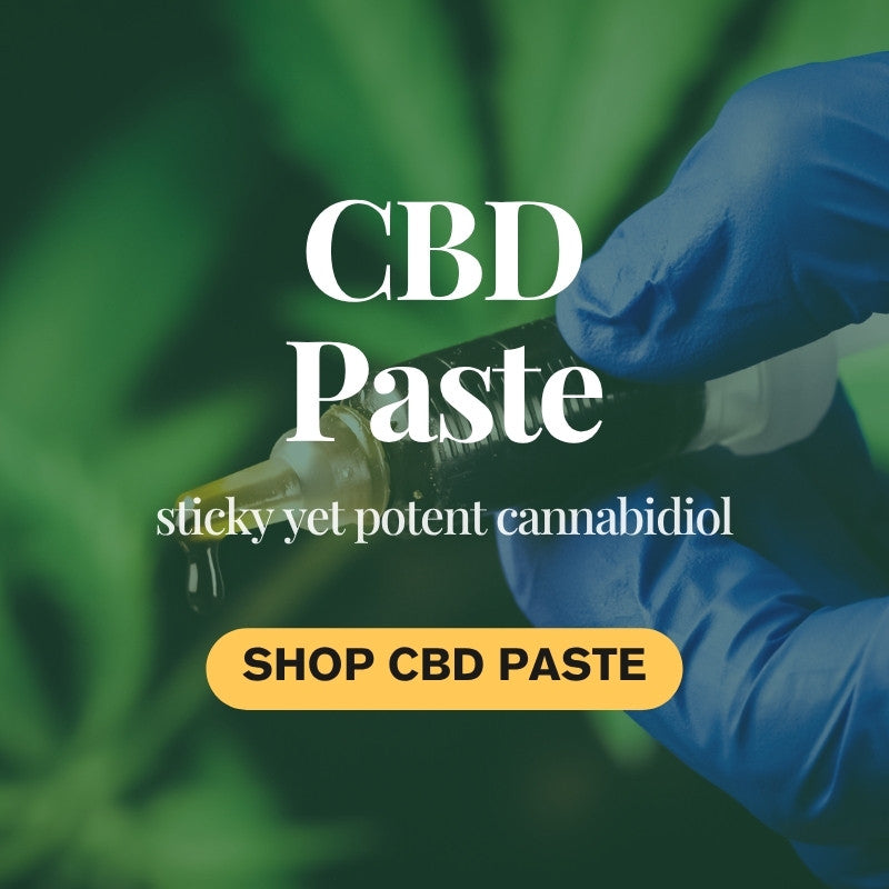 CBD Paste – Raw, Potent, and Effective Cannabidiol