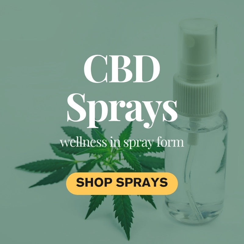 CBD Sprays – Fast-Acting, Convenient Delivery