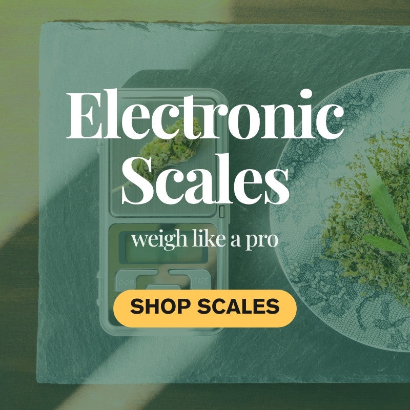 Electronic Scales – Precision Tools for Measurement