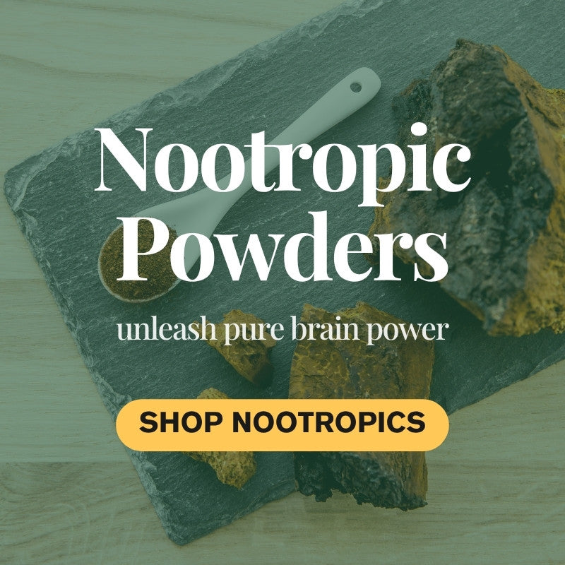Herbal & Nootropic Powders – Plant-Based Wellness Supplements