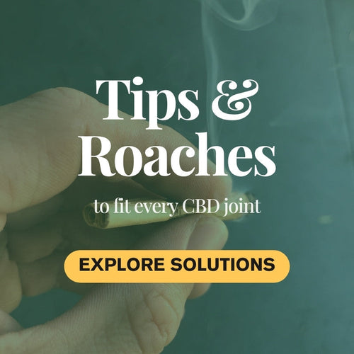 Tips & Roaches – Rolling Accessories for a Clean Burn