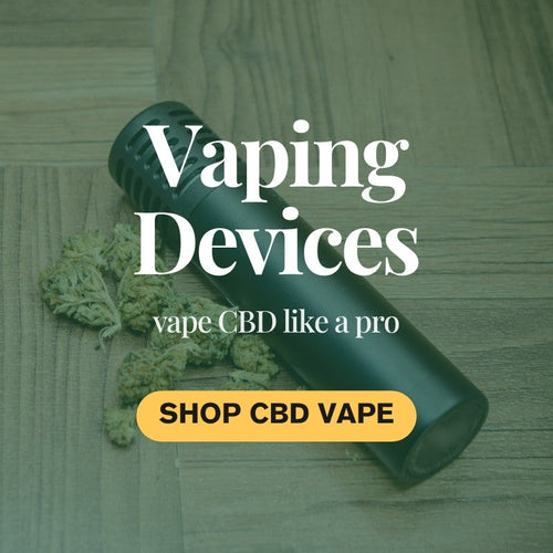 Vaporisers – Dry Herb & Extract Vaping Devices & Kits