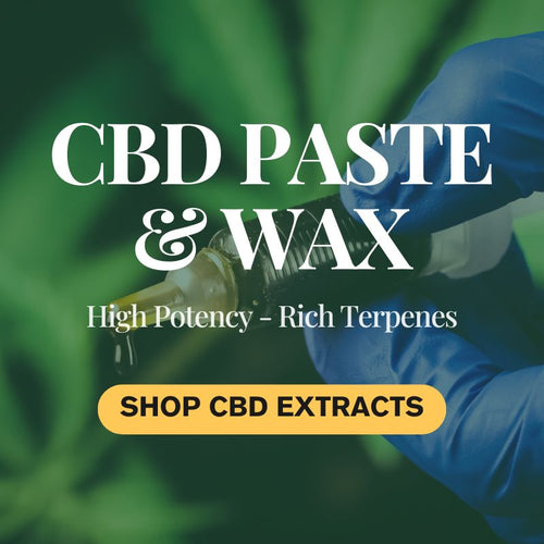 Potent CBD Pastes & Wax Collection