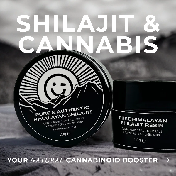 Happy Guys Pure Himalayan Shilajit Resin | The CBD Hut