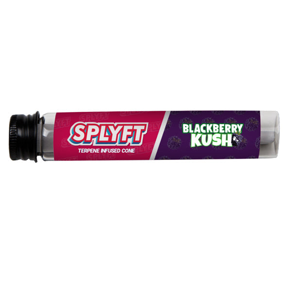 SPLYFT Cannabis Terpene Infused Rolling Cones – Blackberry Kush | The CBD Hut