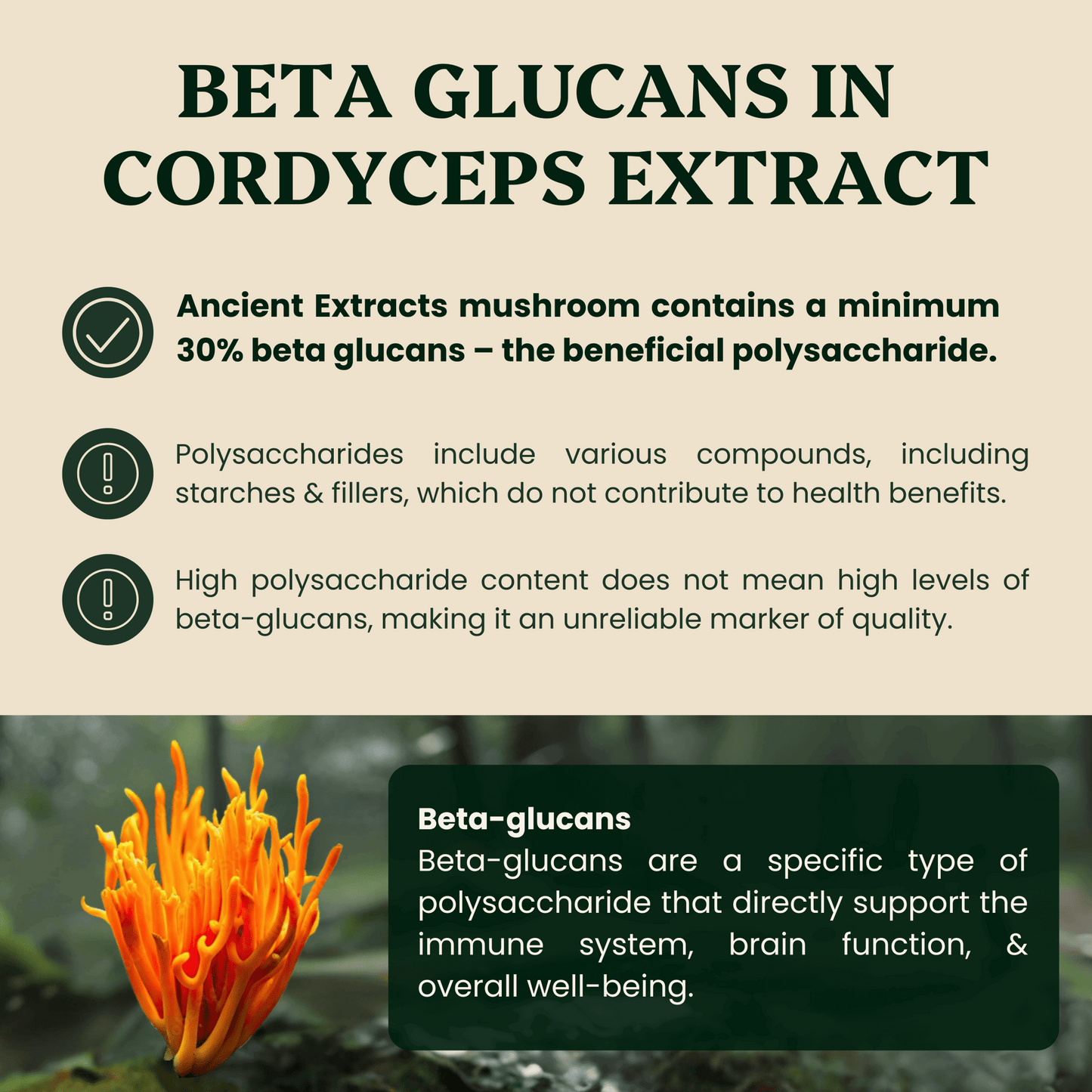 Ancient Extracts Cordyceps & Chaga Energy Pair - image 4