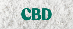 Understanding CBD Powders: Benefits, Types and How to Use