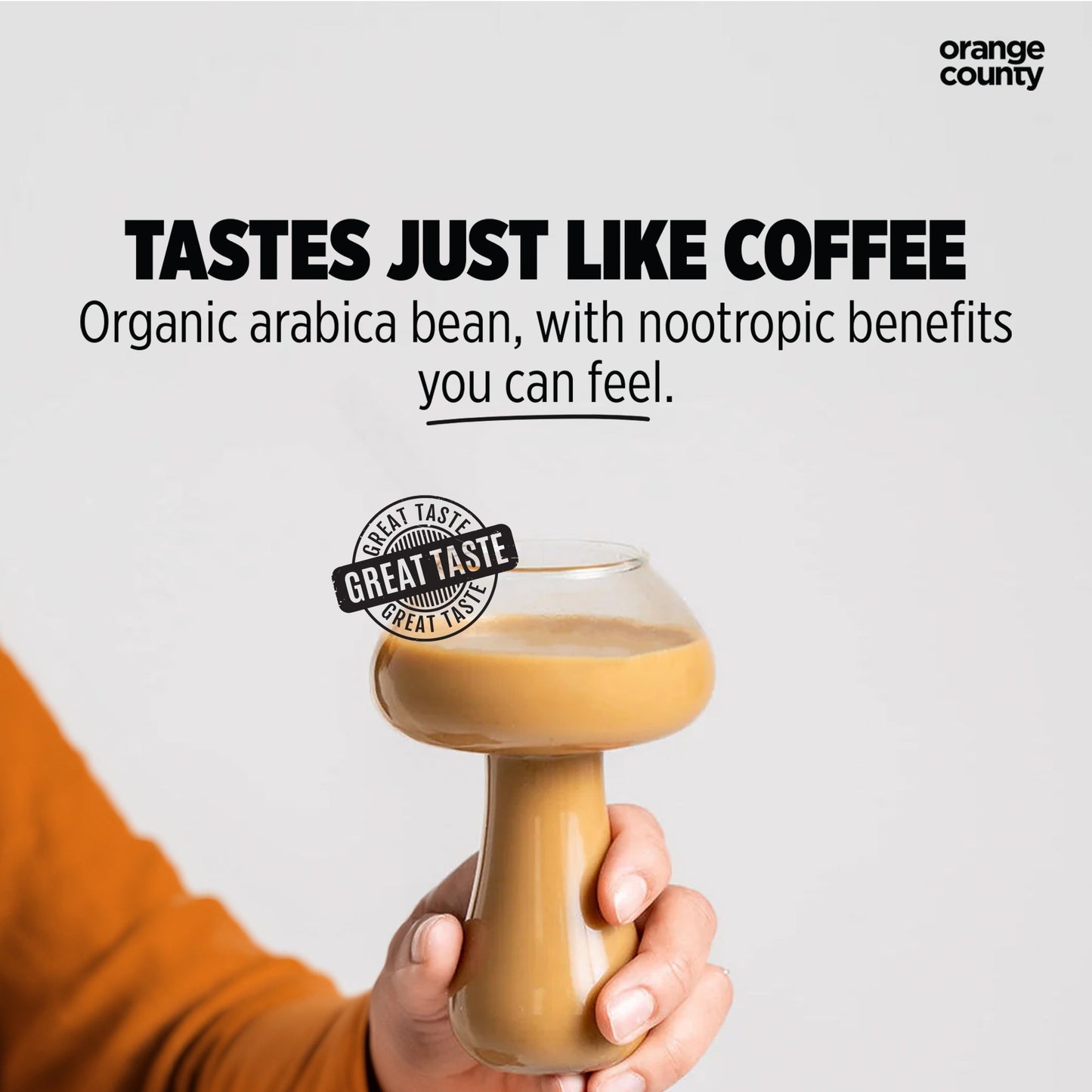 BRAIN FOOD Mushroom Coffee 200g