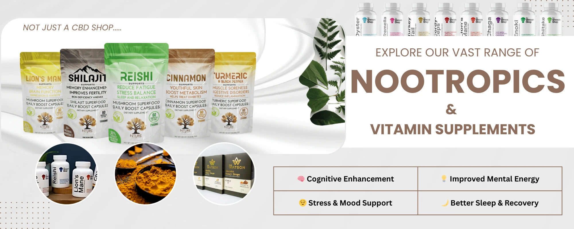 Supplement products with packaging labeled 'Shilajit', 'Reishi', 'Cinnamon', and 'Mushroom'.