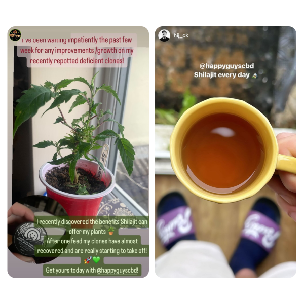 Happy Guys Pure Himalayan Shilajit Resin | The CBD Hut