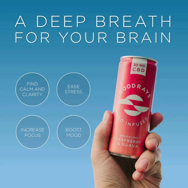 Goodrays 30mg CBD Raspberry & Guava Seltzer product benefits | The CBD Hut