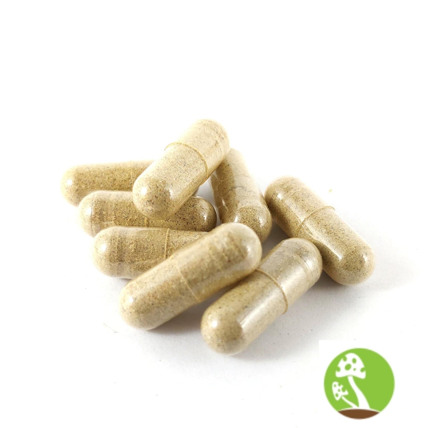 Improved Health Reishi Mushroom Capsules