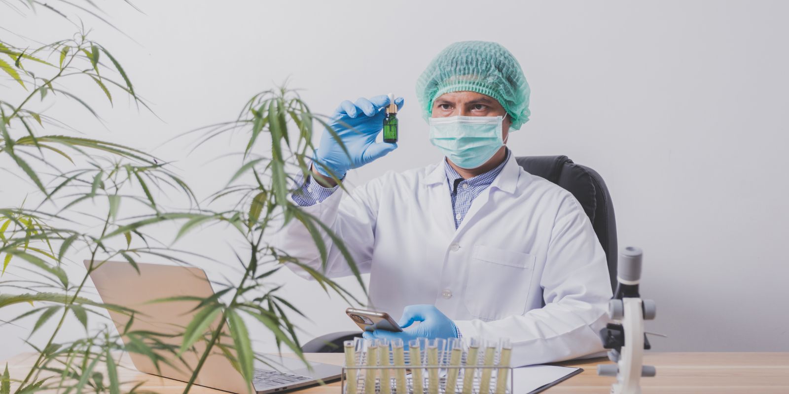 Lab technician inspecting bottle of CBD oil to analyse cannabinoid content