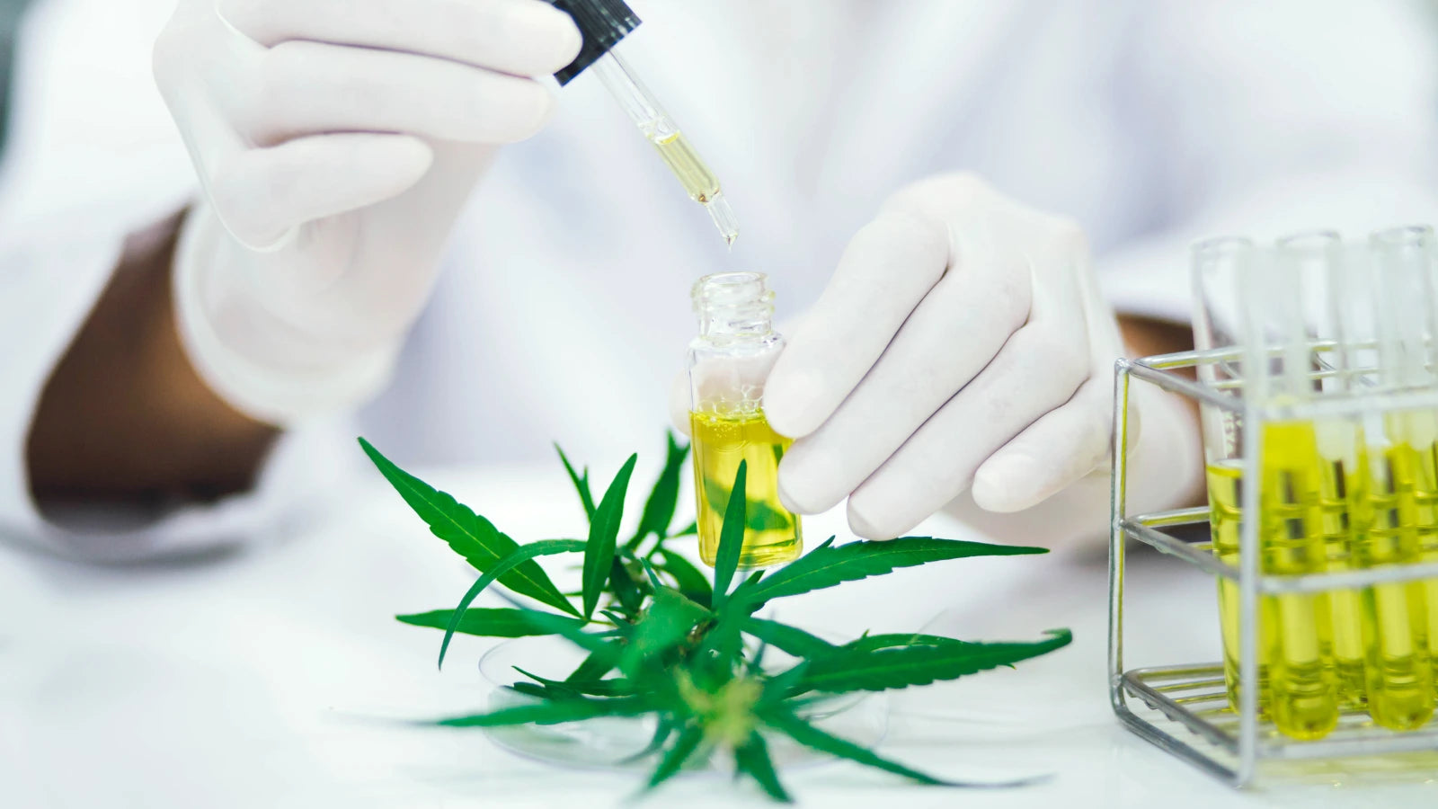 Lab technician testing CBD product for purity