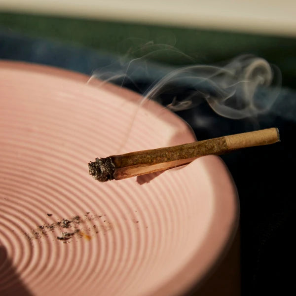 RAW rollling paper slow burning on an ashtray | The CBD Hut