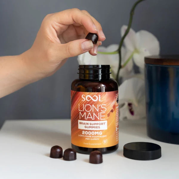 SOOL 2000mg Lion's Mane Brain Support Gummies | The CBD Hut