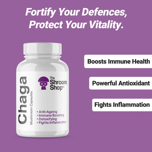 Bottle of Chaga mushroom capsules from The Shroom Shop on a purple background with text about health benefits.