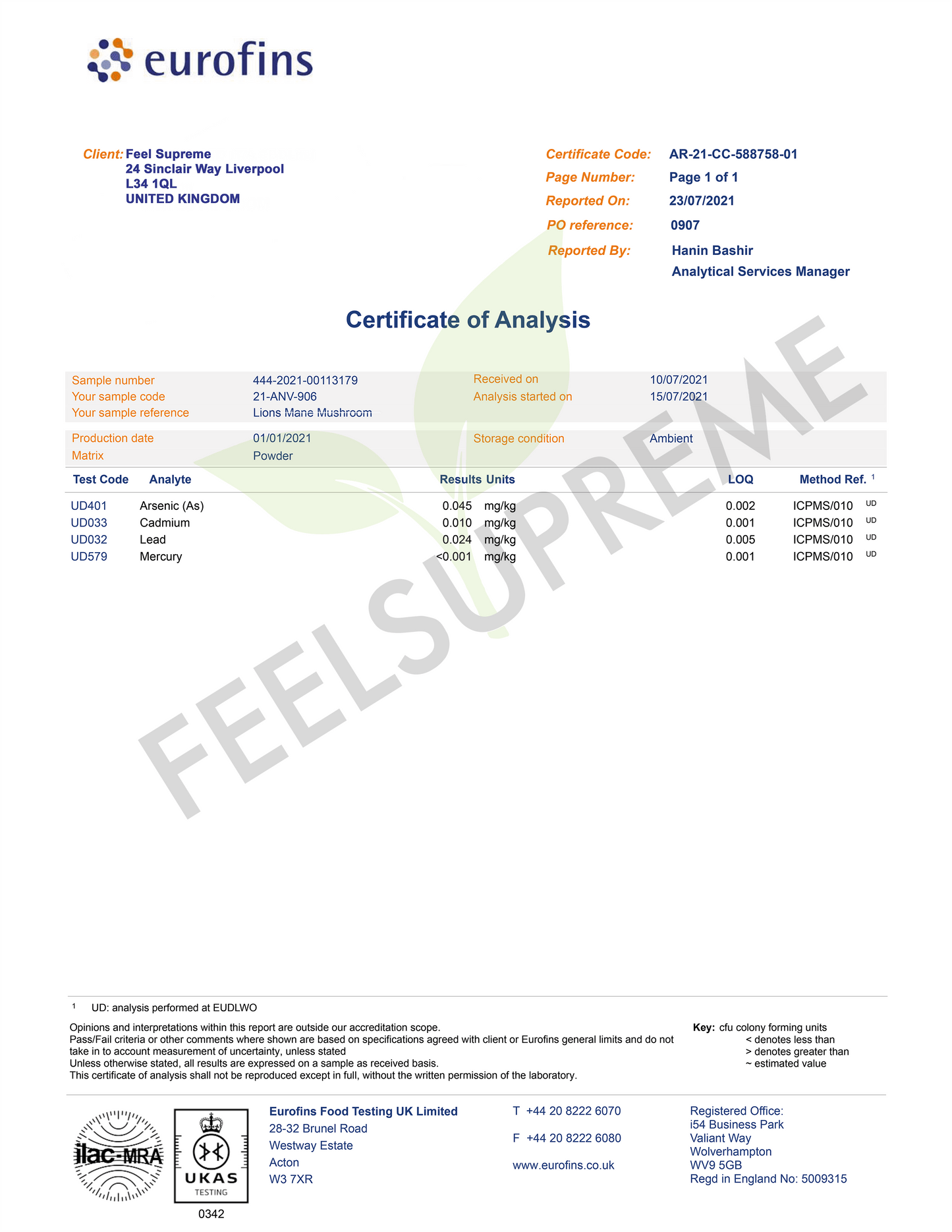 Feel Supreme Lion's Mane Mushroom Extract 60ml