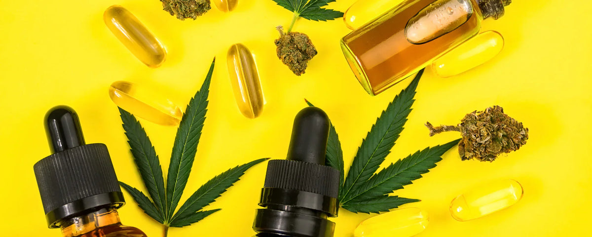 A selection of CBD products including capsules and oils