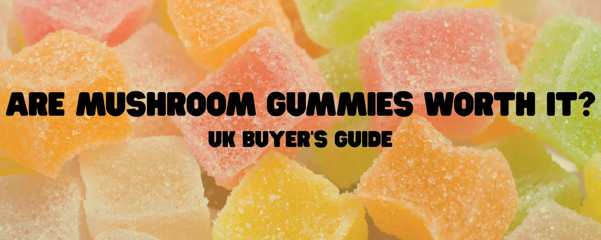Mushroom wellness gummies