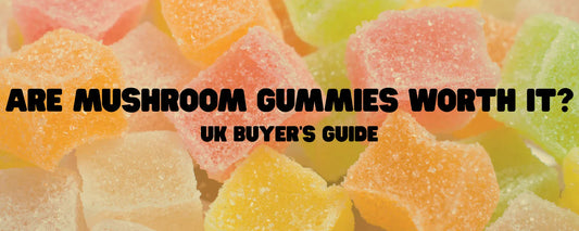 Are Mushroom Gummies Worth It? UK Buyer’s Guide