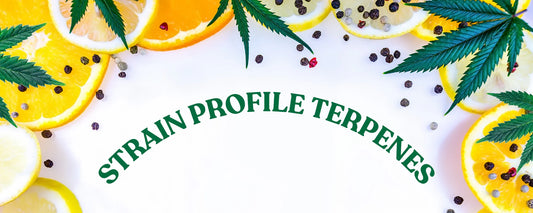 'Strain Profile Terpenes' text with different terpenes including Pinene, Limonene and Myrcene