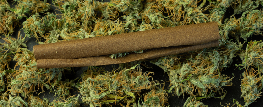 Blunt paper on a bed of CBD flower