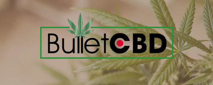 Bullet CBD logo with hemp leaves background
