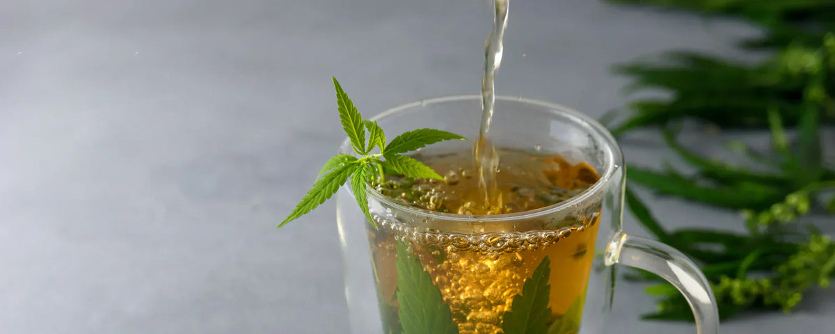 CBD-infused tea with hot water pouring into it with hemp leaves in background