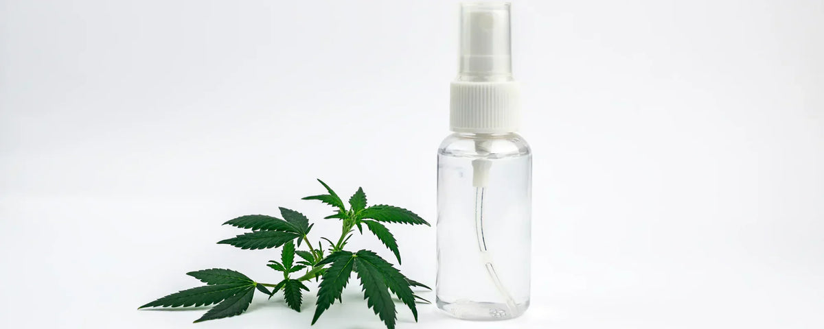 Clear CBD spray bottle with hemp leaves on a white background