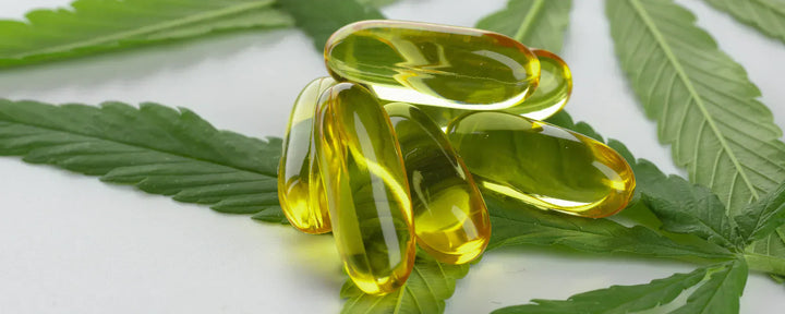 CBD capsules on a hemp leaf
