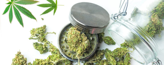 CBD flower in a grinder on a white table