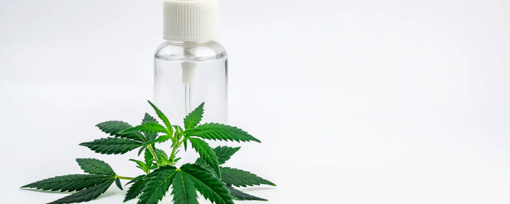 CBD-infused water with a bunch of CBD flower leaves