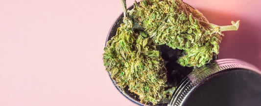 CBD flower in a grinder
