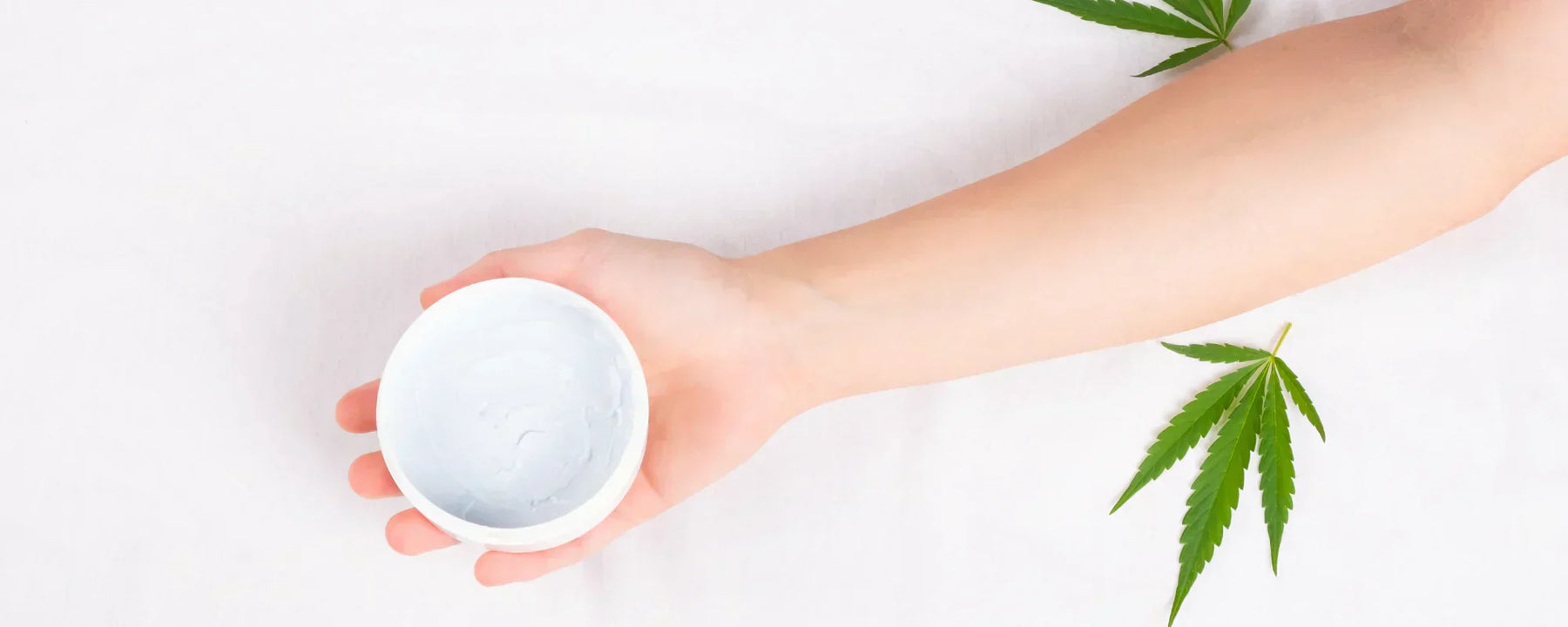 Someone holding CBD moisturiser in their hand with hemp leaves on a table