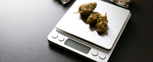 CBD flower on scales