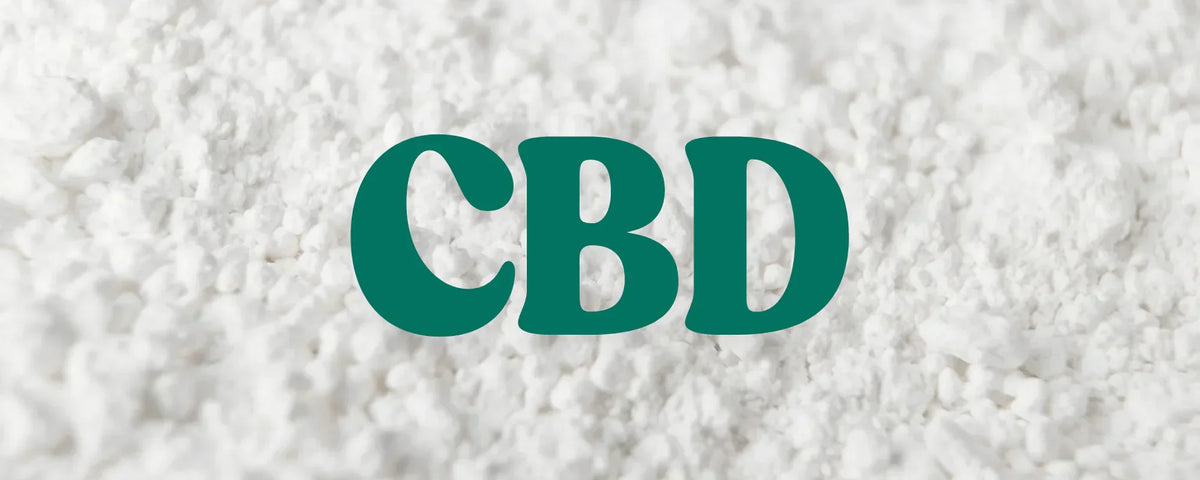 CBD powder in a specialist concentrate format