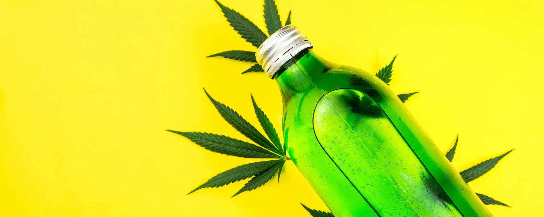 CBD Soft Drink in a green, glass bottle, surrounded by hemp leaves with a yellow background