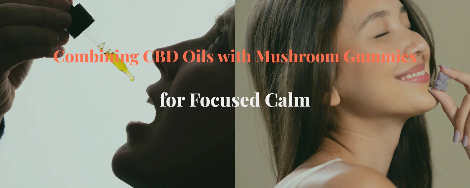 CBD oil and mushroom wellness gummies