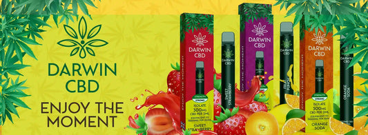 Darwin CBD disposable vapes