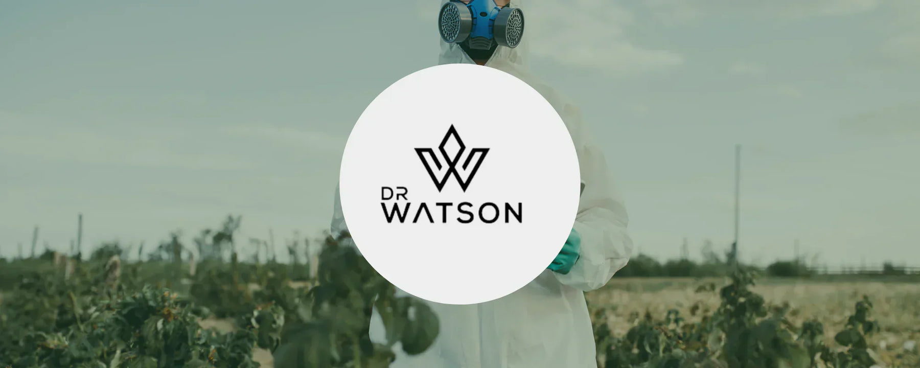 Dr Watson logo with hemp plants in the background