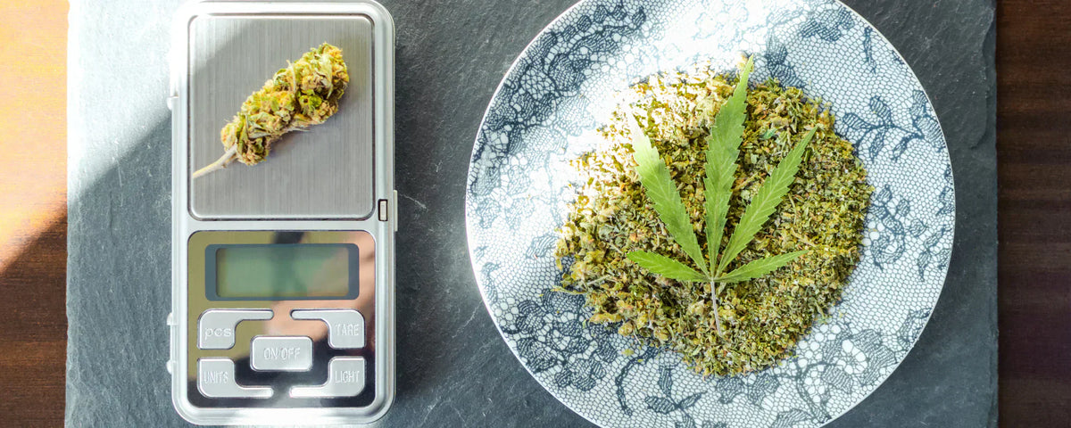 Hemp flower on a digital scale